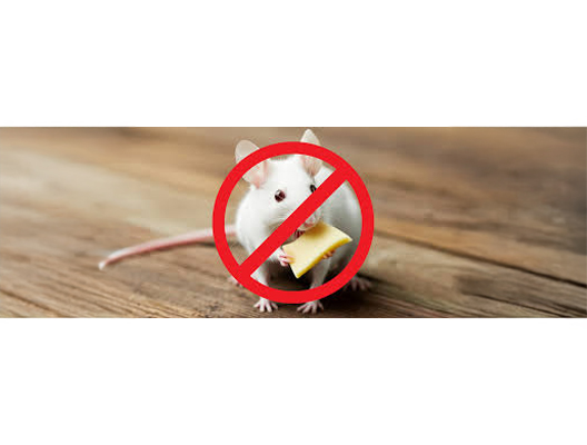 Rodent Control