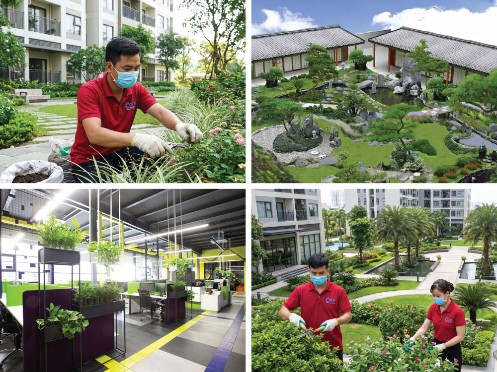 landscaping-services-carevn