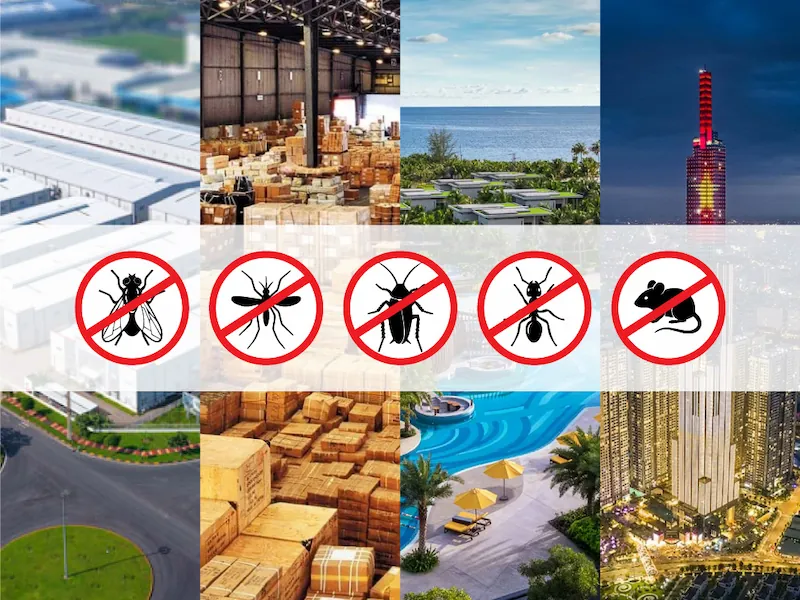 pest-control-service-solutions