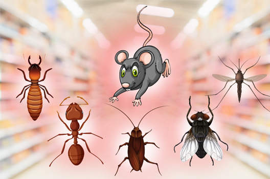 Pest Control For Supermarkets
