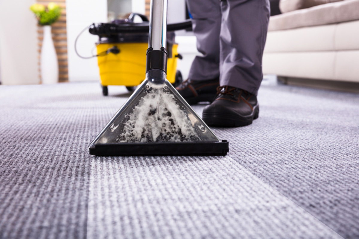 Hút bụi giúp loại bỏ bụi bẩn bám trên thảm